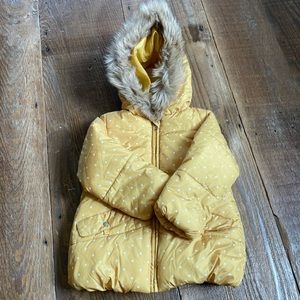 C&C California toddler puffer jacket